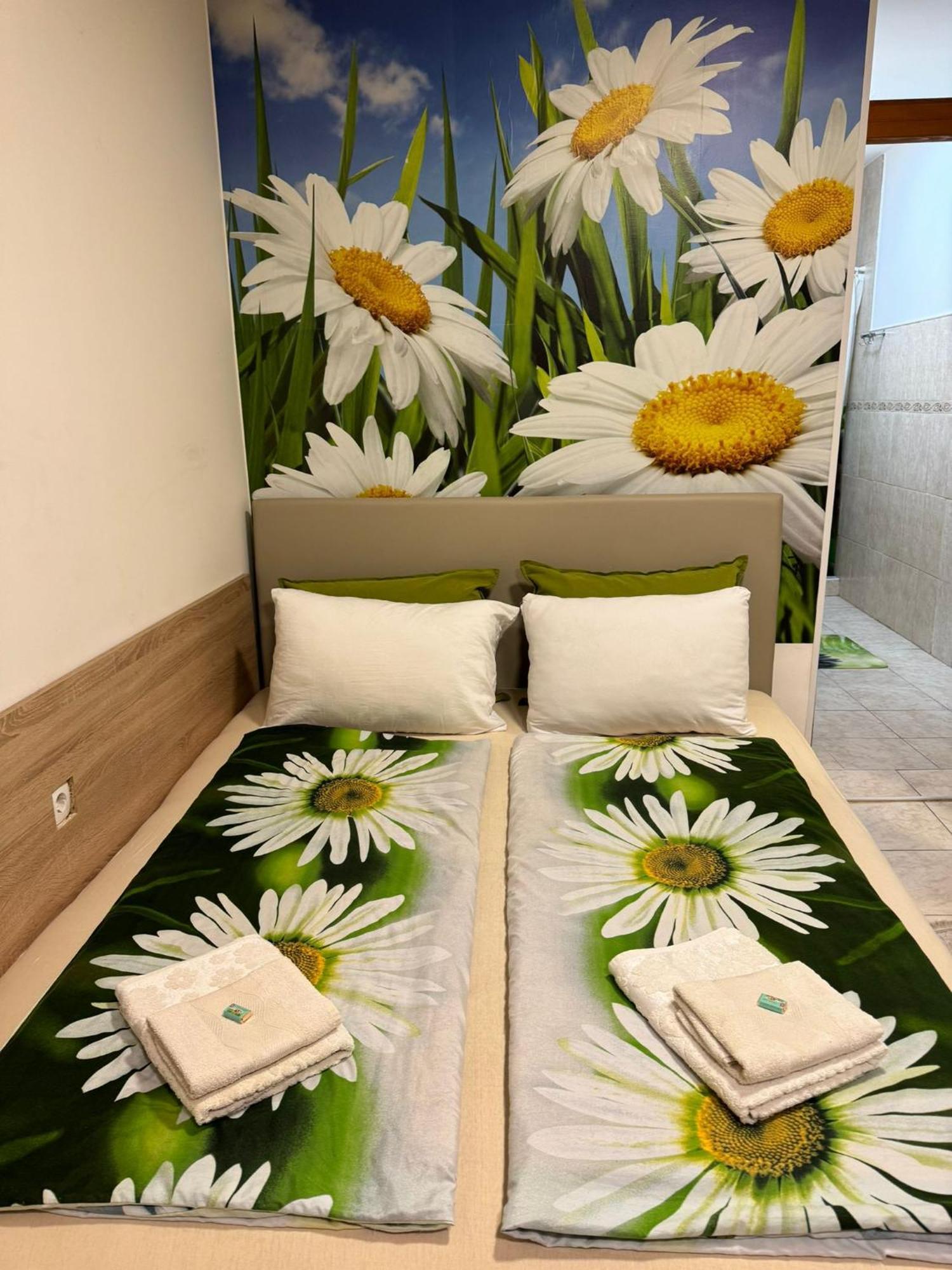 Ni Nela Apartmani מראה חיצוני תמונה