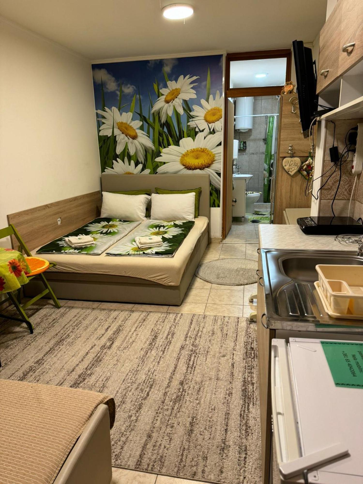 Ni Nela Apartmani מראה חיצוני תמונה